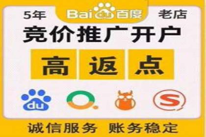 百度推广服务费案例：让品牌快速崛起的秘诀